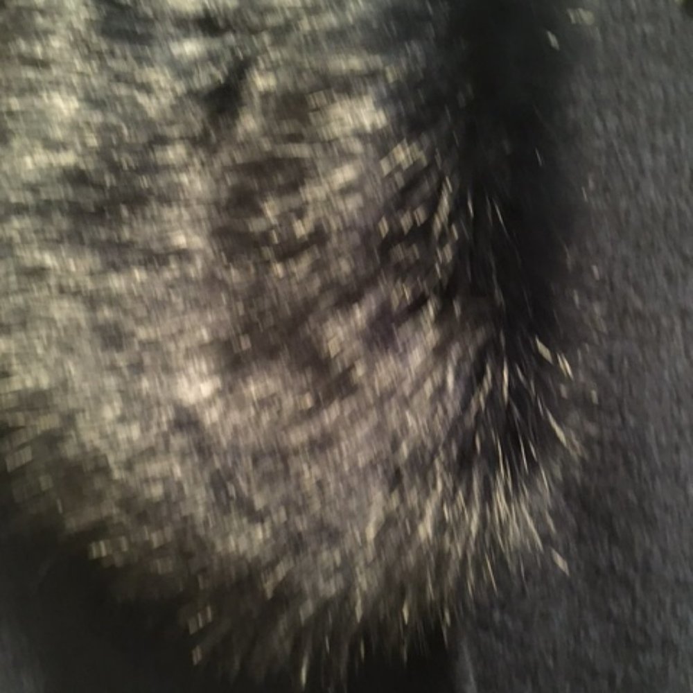 Banana Republic Dark Blue/Navy Imitation Fur-Trimmed Cardigan, Small - Picture 2 of 4